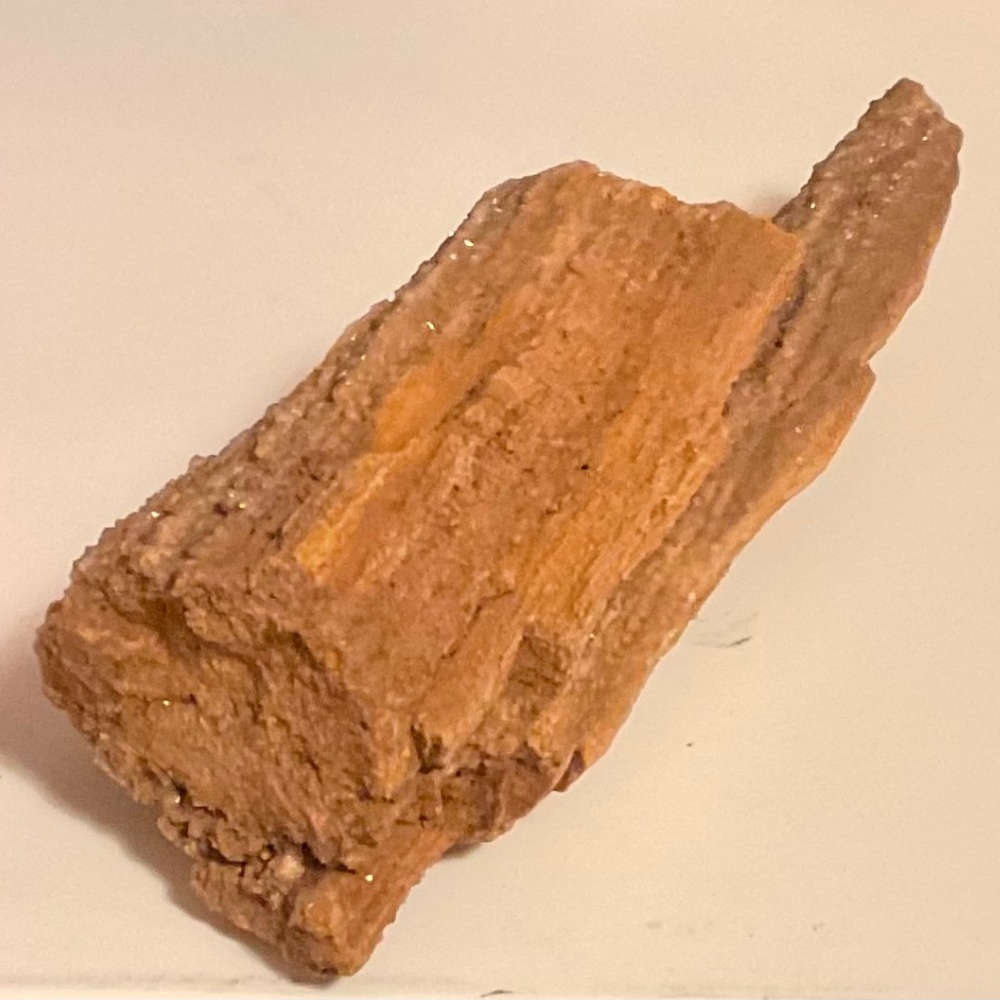 Crystallized Petrified Wood